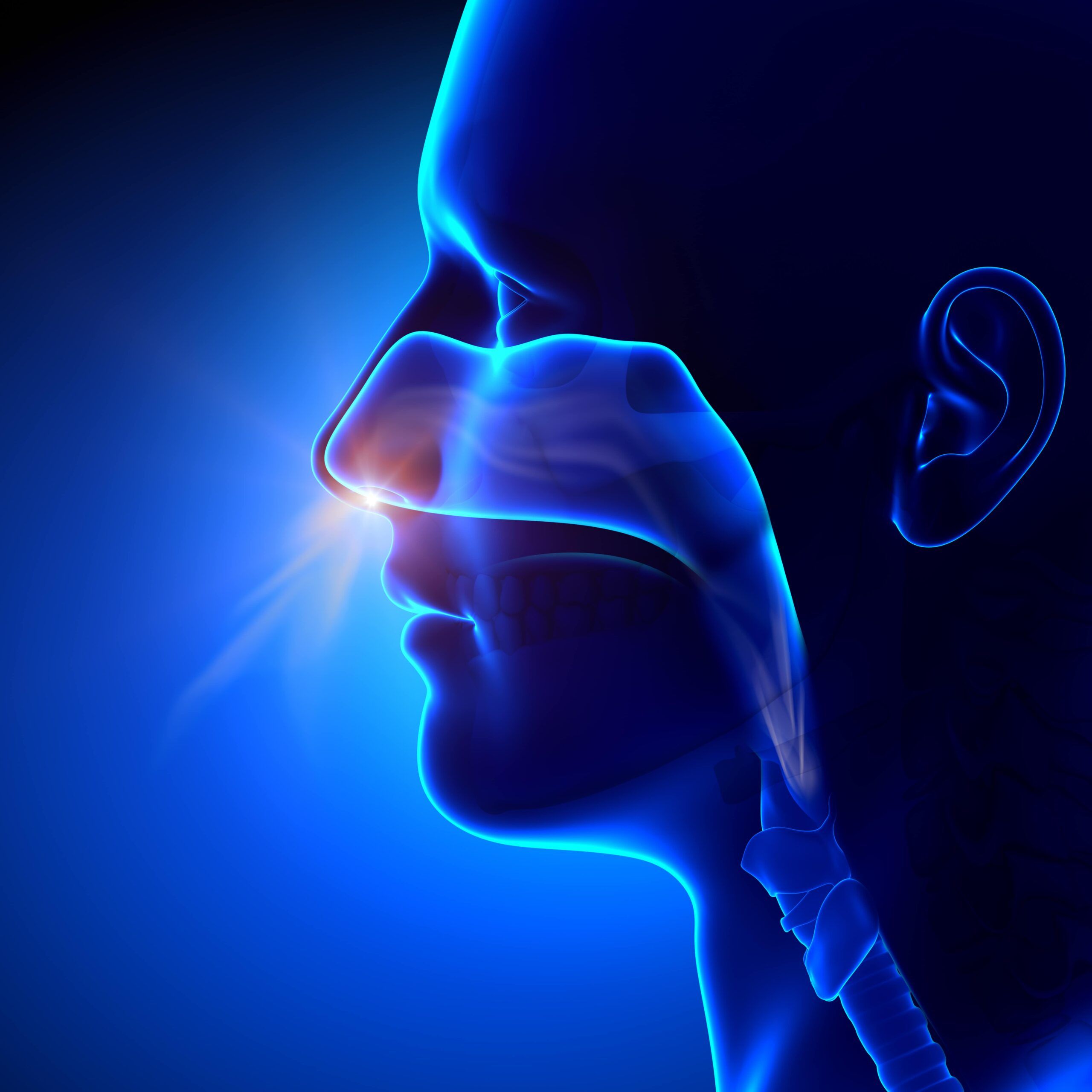 animation of nasal spray entering nose